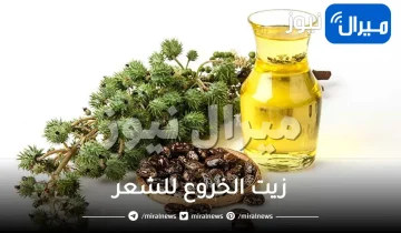 فوائد زيت الخروع للشعر الدهني وطريقة استخدامه الصحيحة