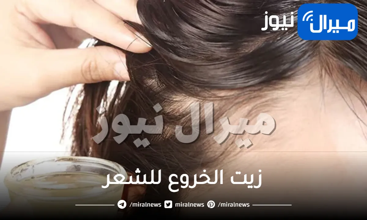 زيت الخروع للشعر