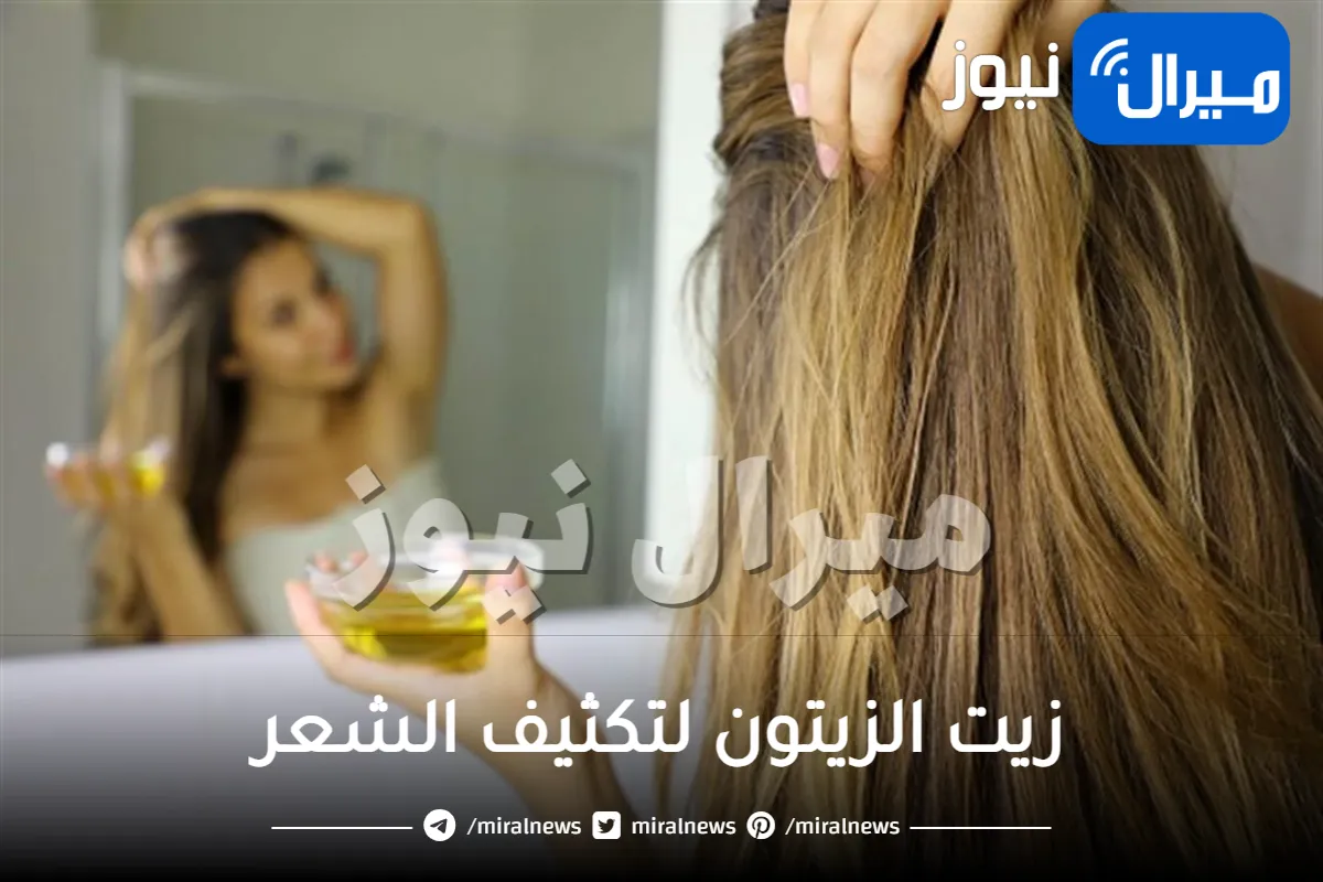 زيت الزيتون لتكثيف الشعر