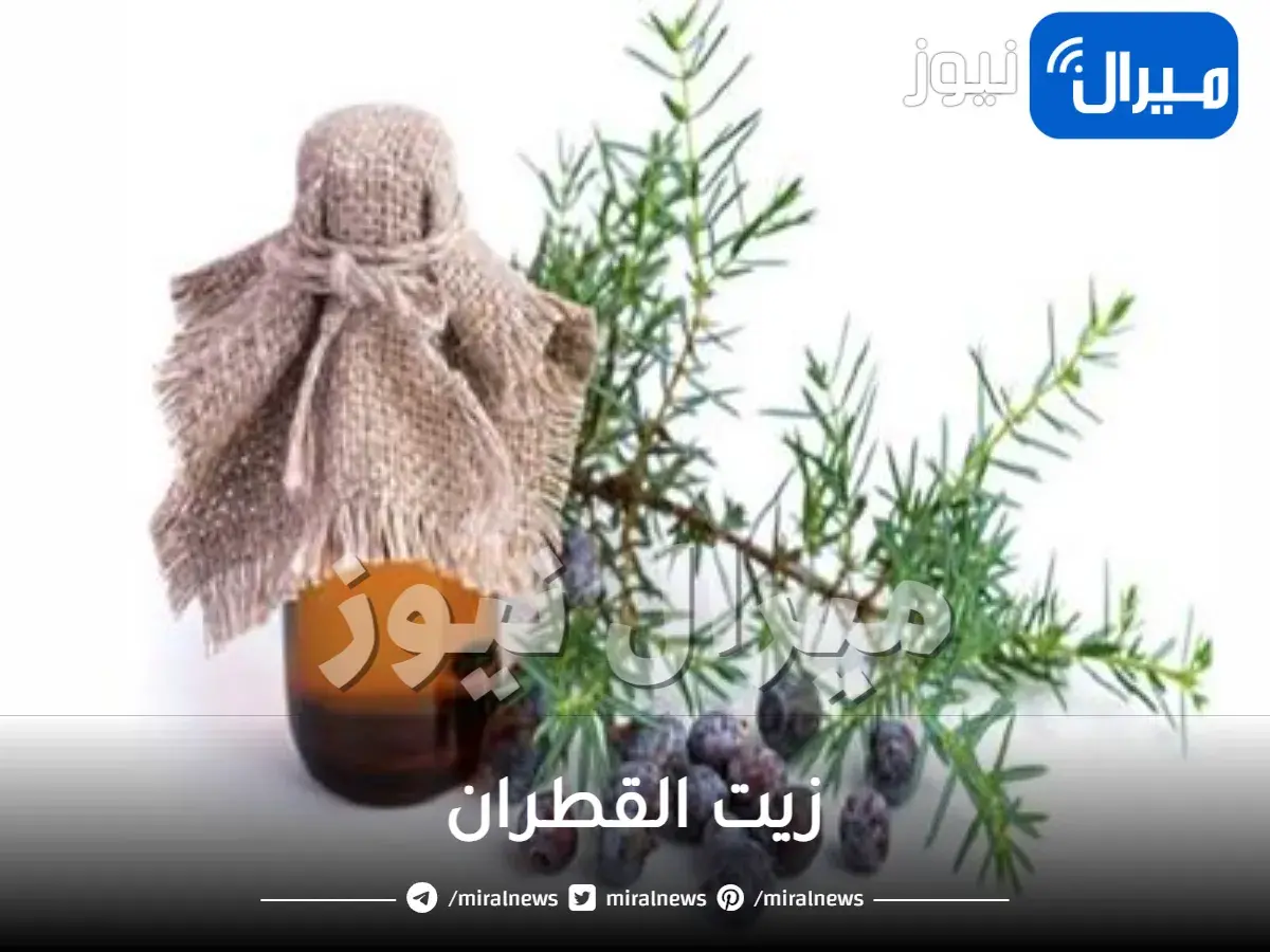زيت القطران
