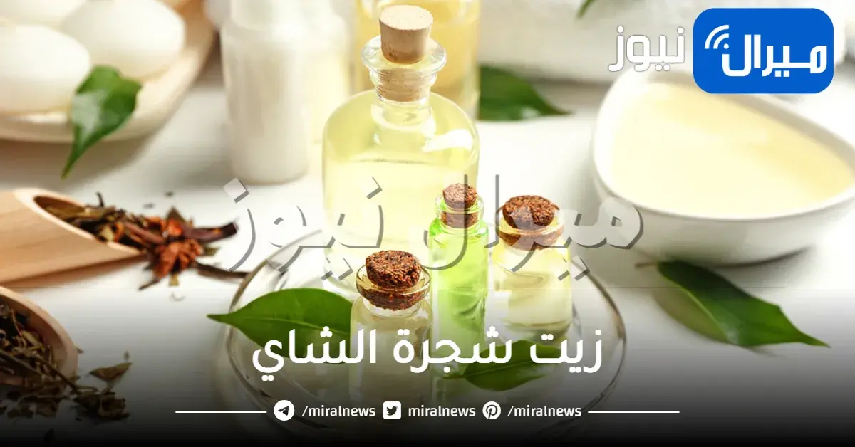 فوائد زيت شجرة الشاي للصدر