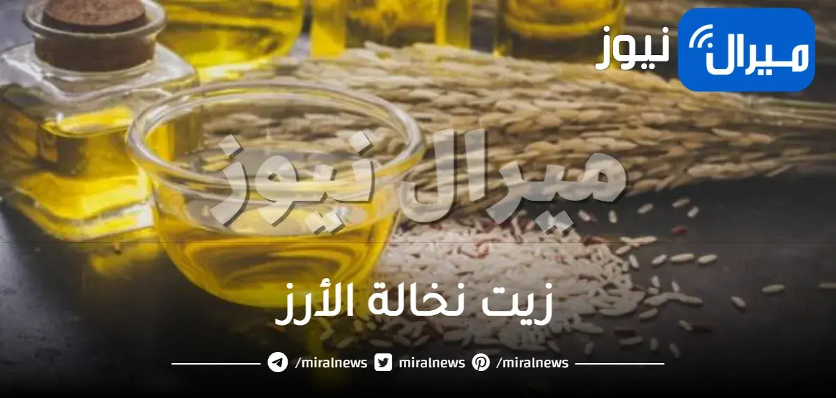 ما هو زيت نخالة الأرز وفوائده وأضراره
