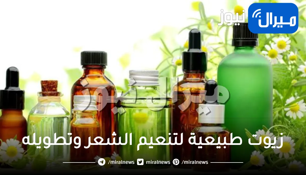 افضل زيوت لتنعيم الشعر وتطويله