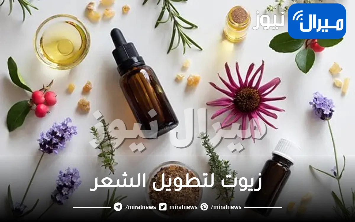 ماهي أفضل الزيوت لتطويل الشعر بسرعة ؟