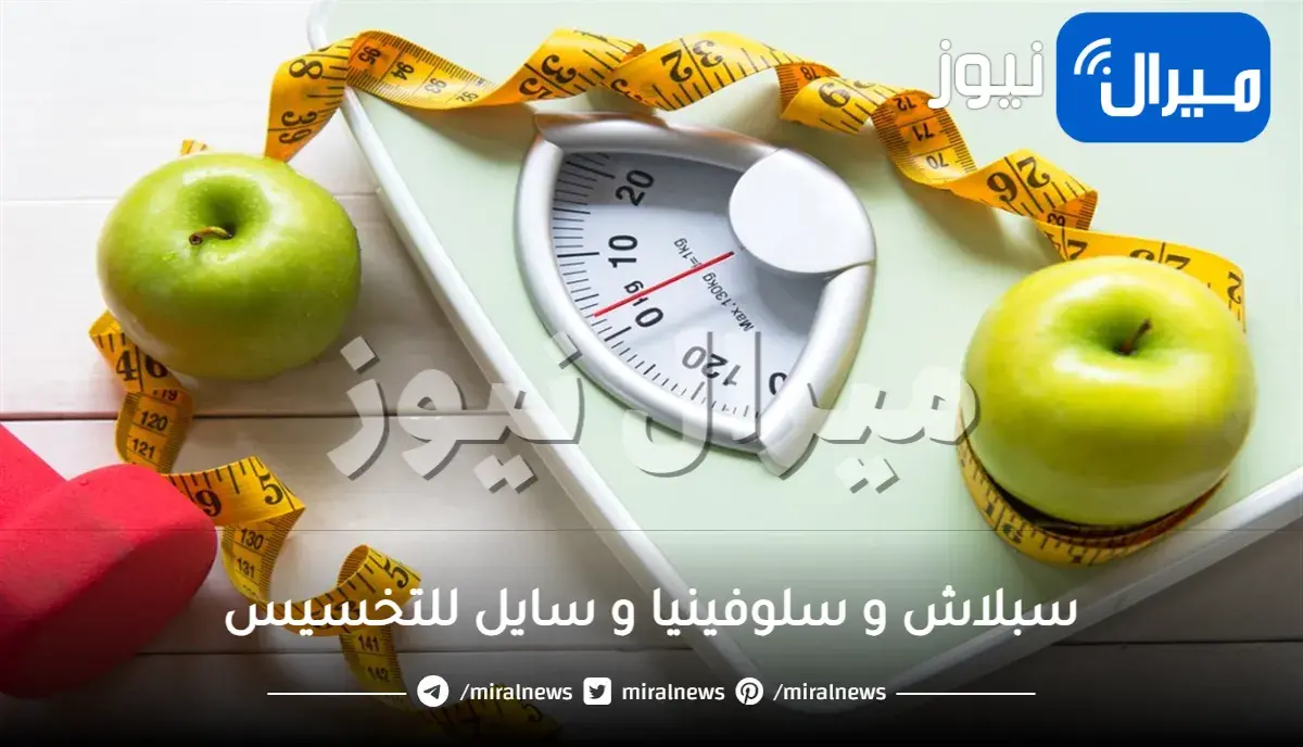 سبلاش و سلوفينيا و سايل للتخسيس
