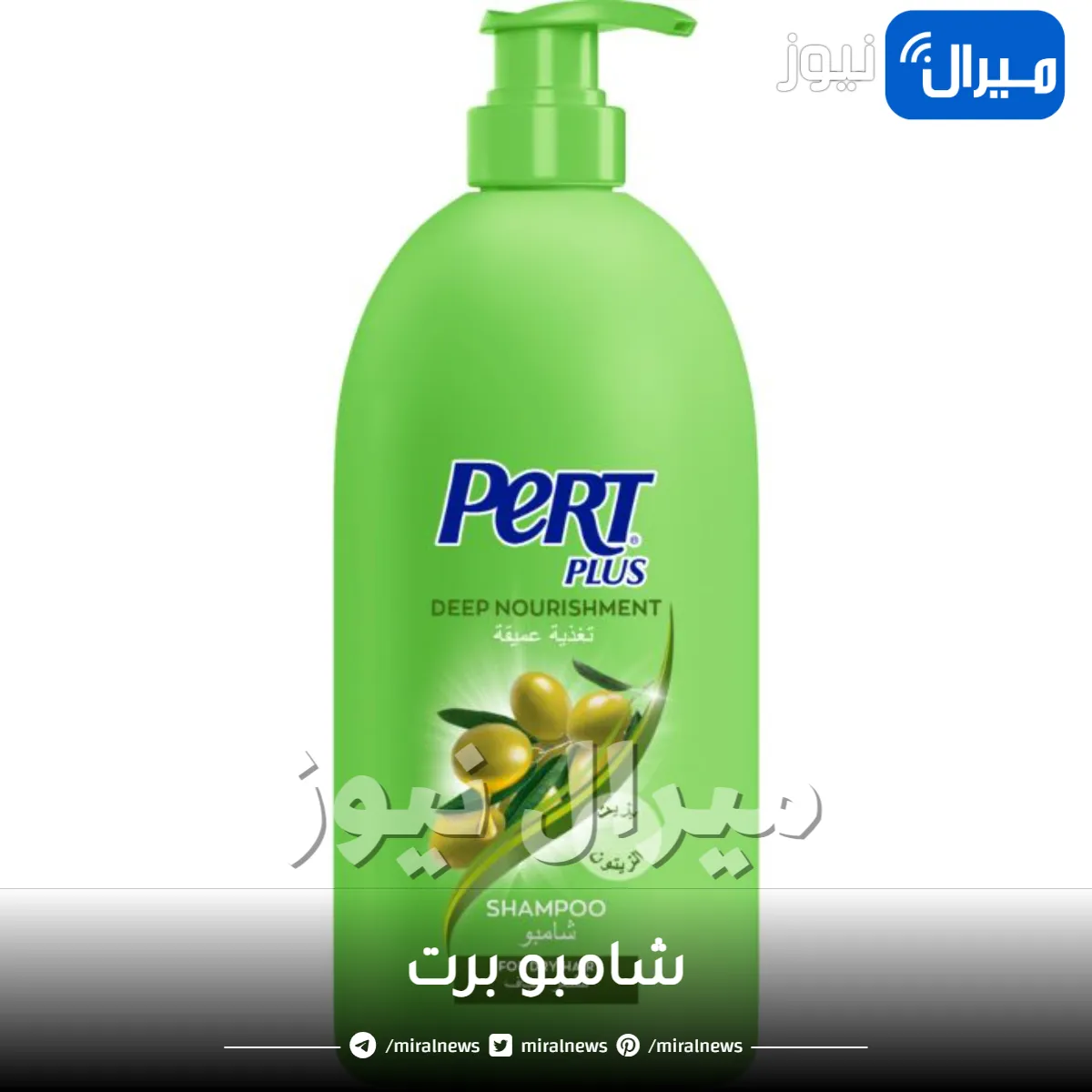 شامبو برت .. تعرفي على كل ما يخص الشامبو وطرق استخدامه