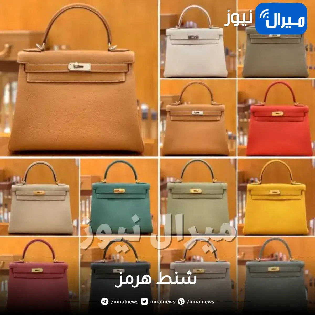 شنط هرمز وأسعارها