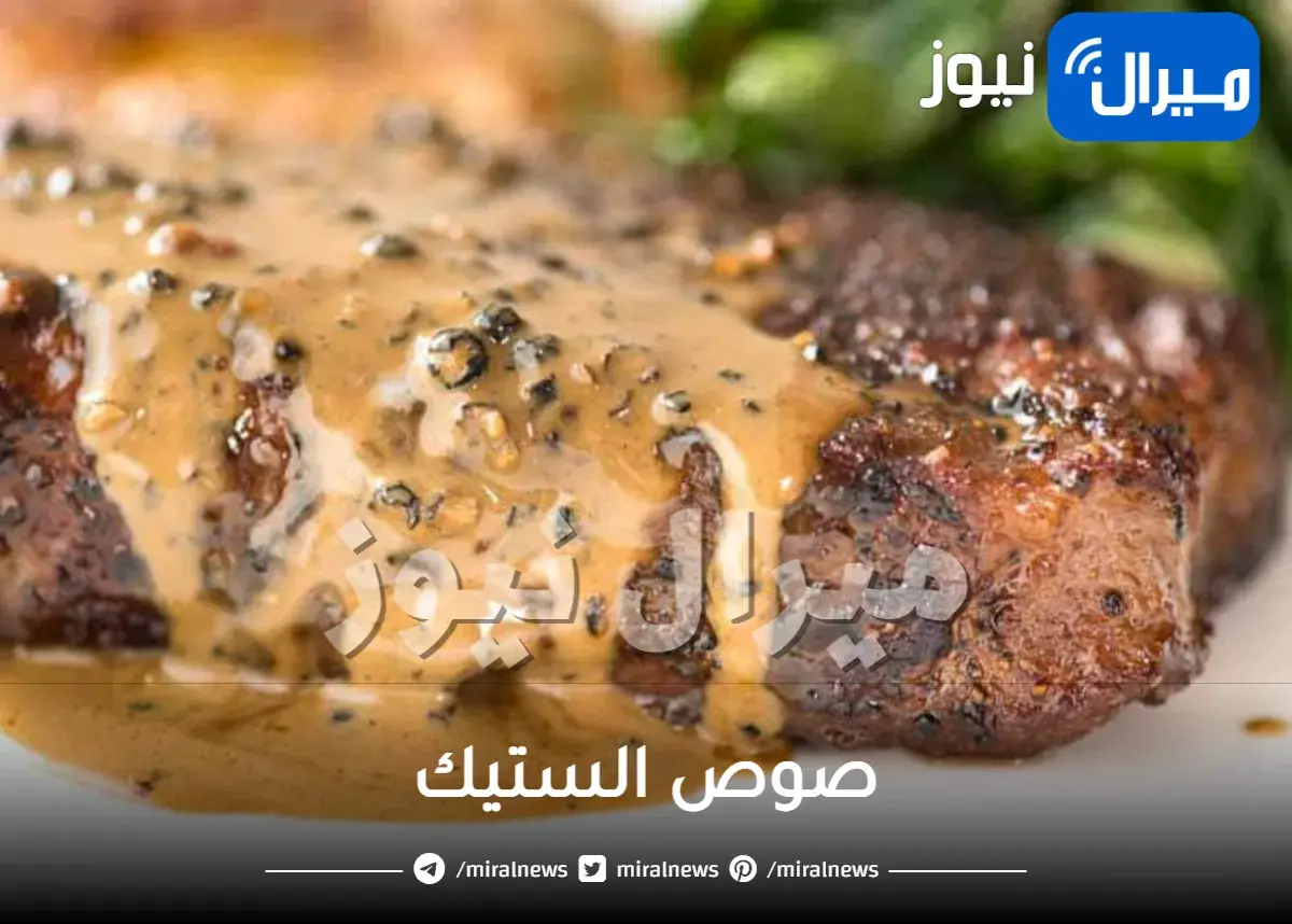 صوص الستيك