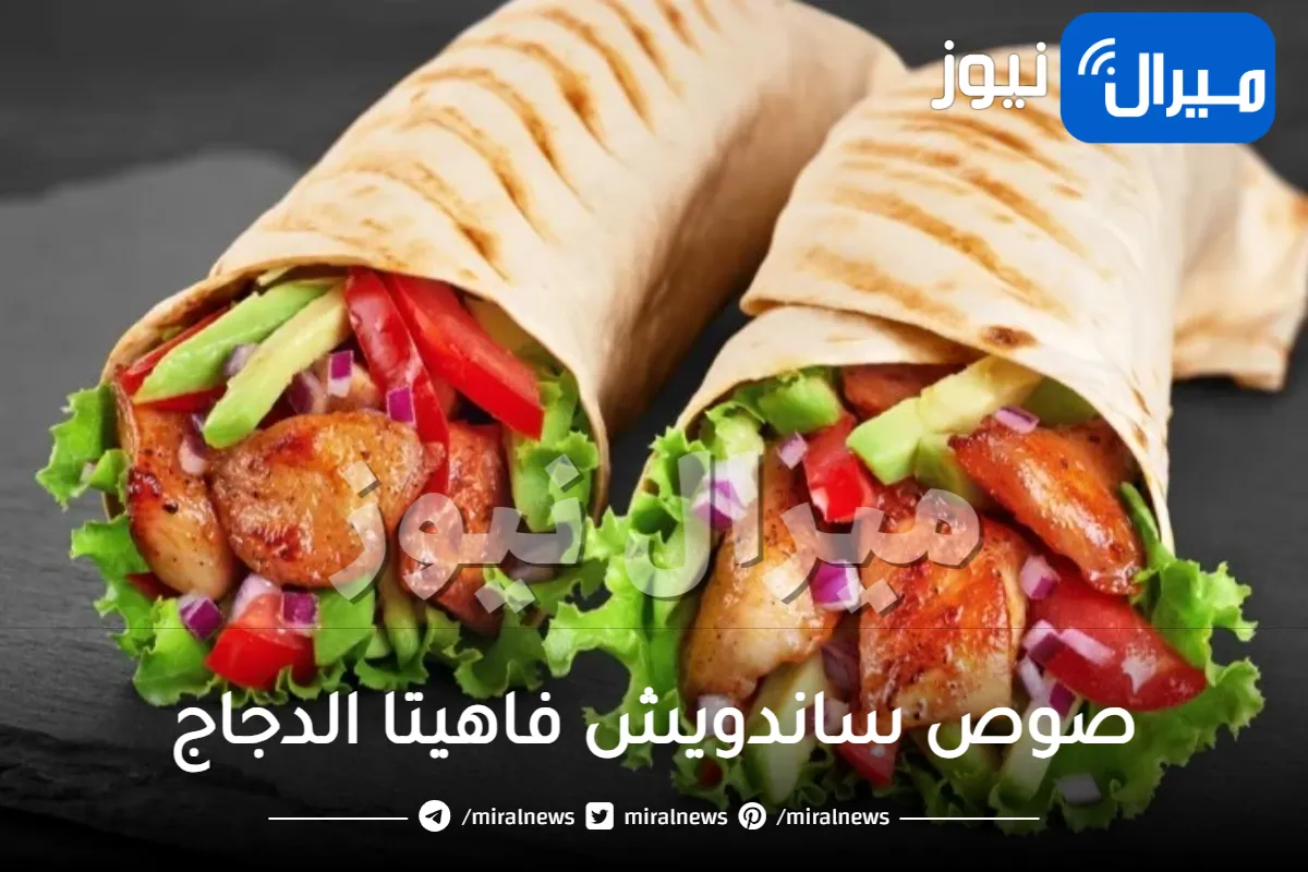 صوص ساندويش فاهيتا الدجاج