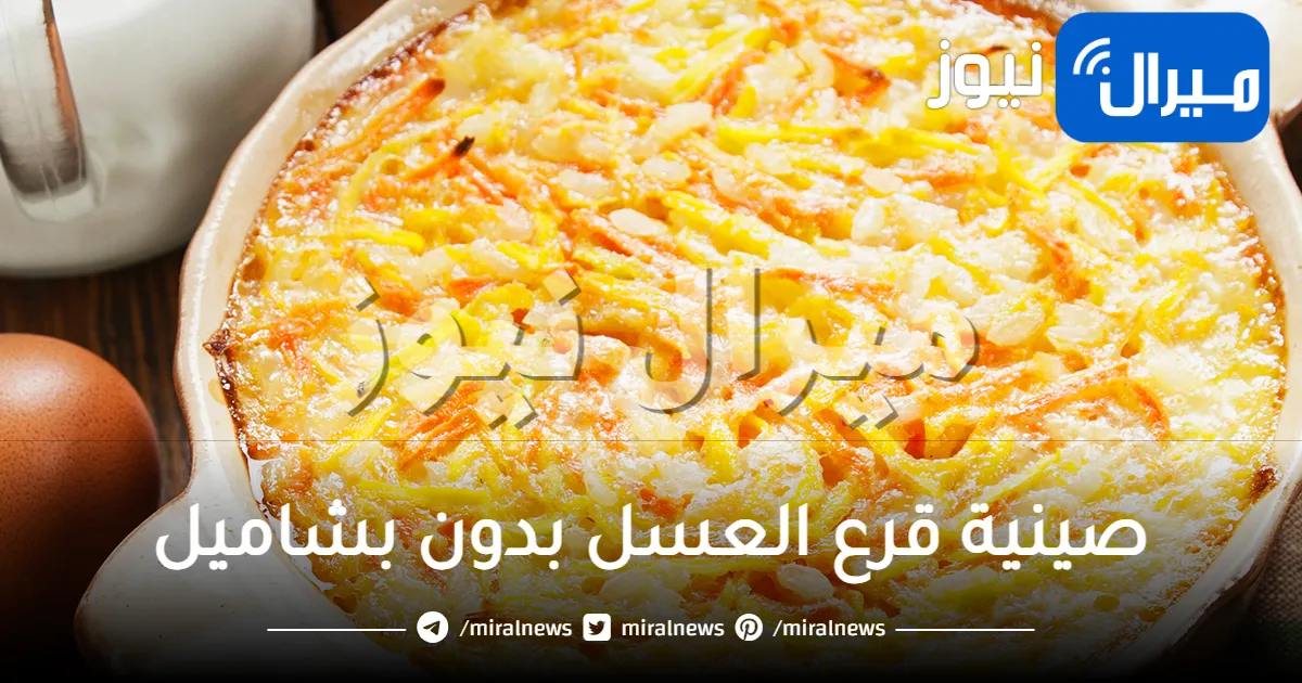 طريقة عمل صينية قرع العسل بدون بشاميل