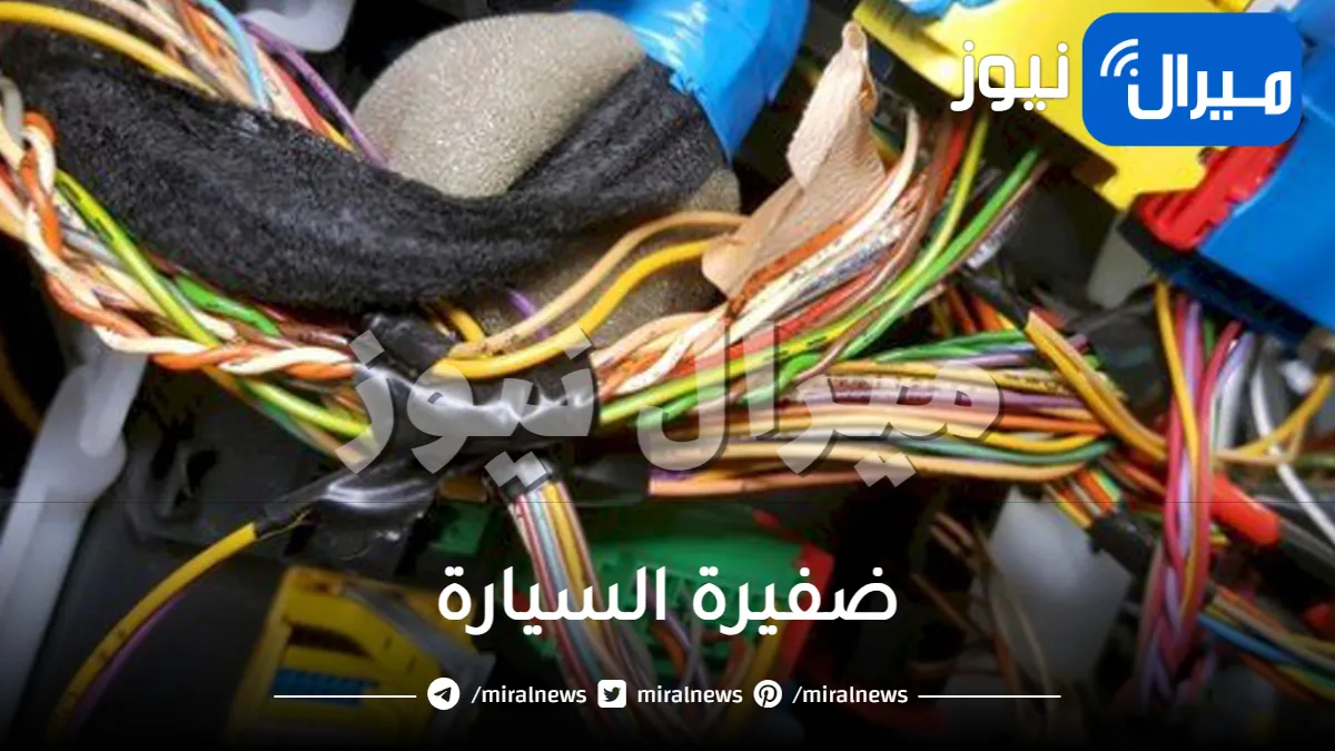 دليلك حول ضفيرة السيارة وسعرها بالانجليزي وكل ما تود معرفته عن ضفيرة السيارة