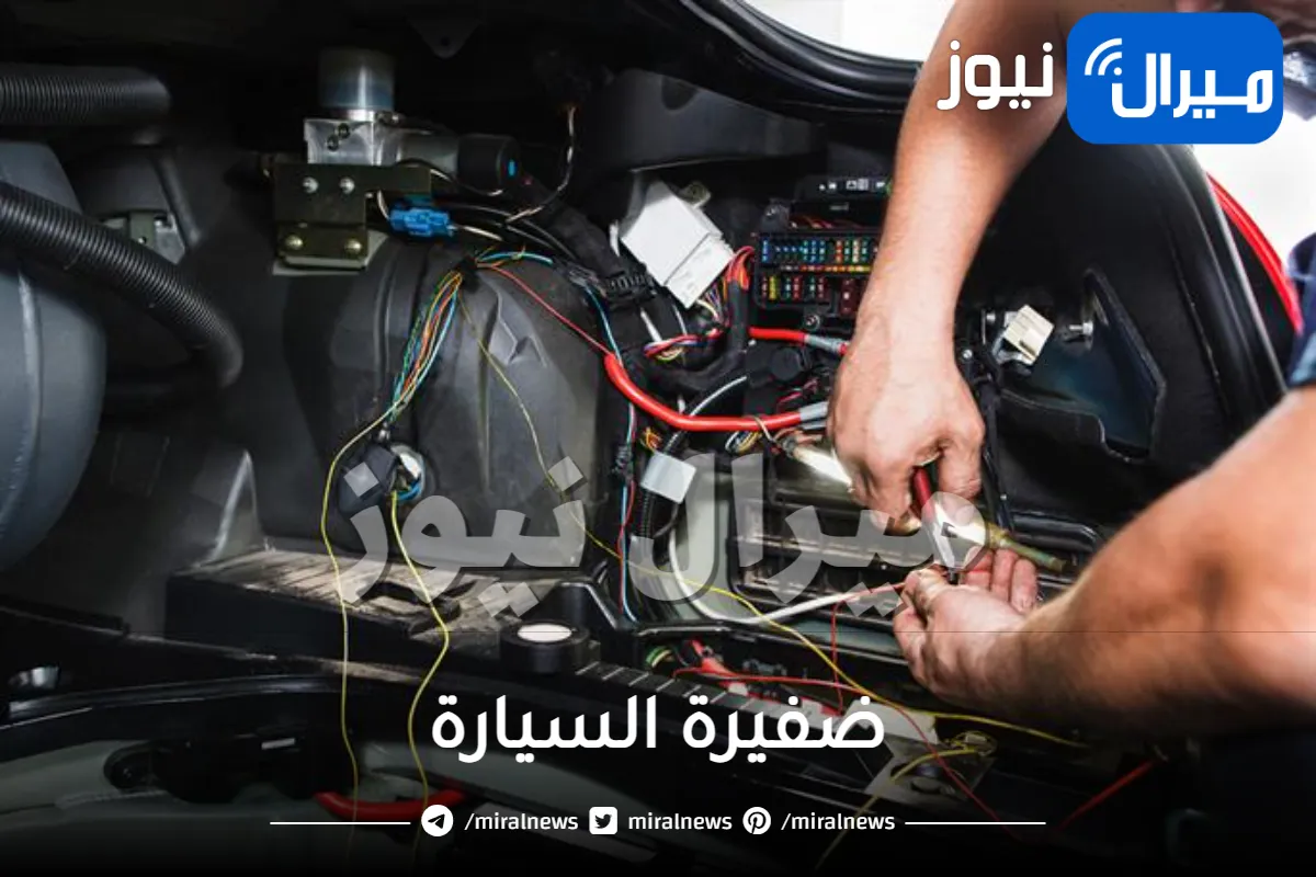 كل ما تود معرفته حول ضفيرة السيارة وسعرها بالانجليزي