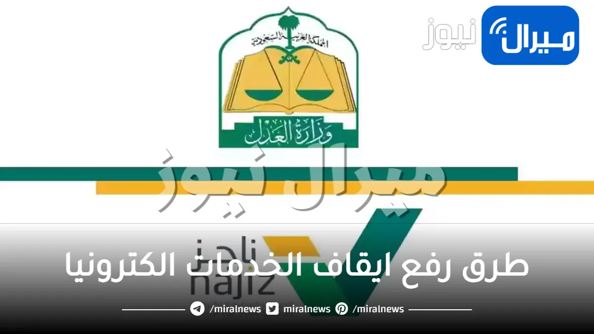 طرق رفع ايقاف الخدمات الكترونيا