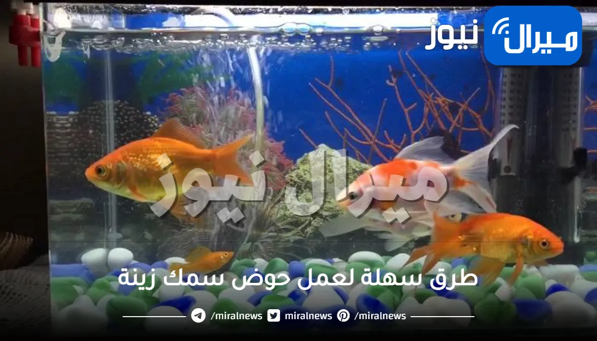 طرق سهلة لعمل حوض سمك زينة أبرزها بالكرتون والبلاستيك