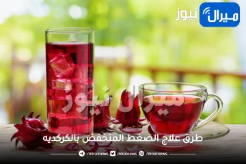 طرق علاج الضغط المنخفض بالكركديه