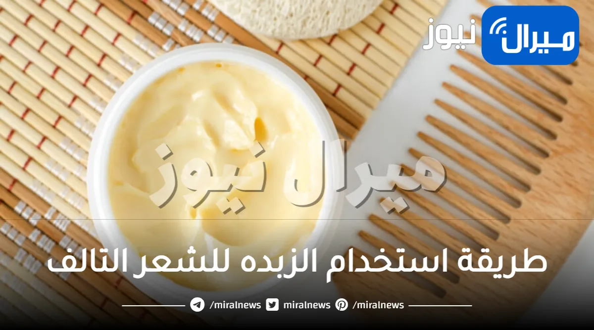 طريقة استخدام الزبده للشعر التالف
