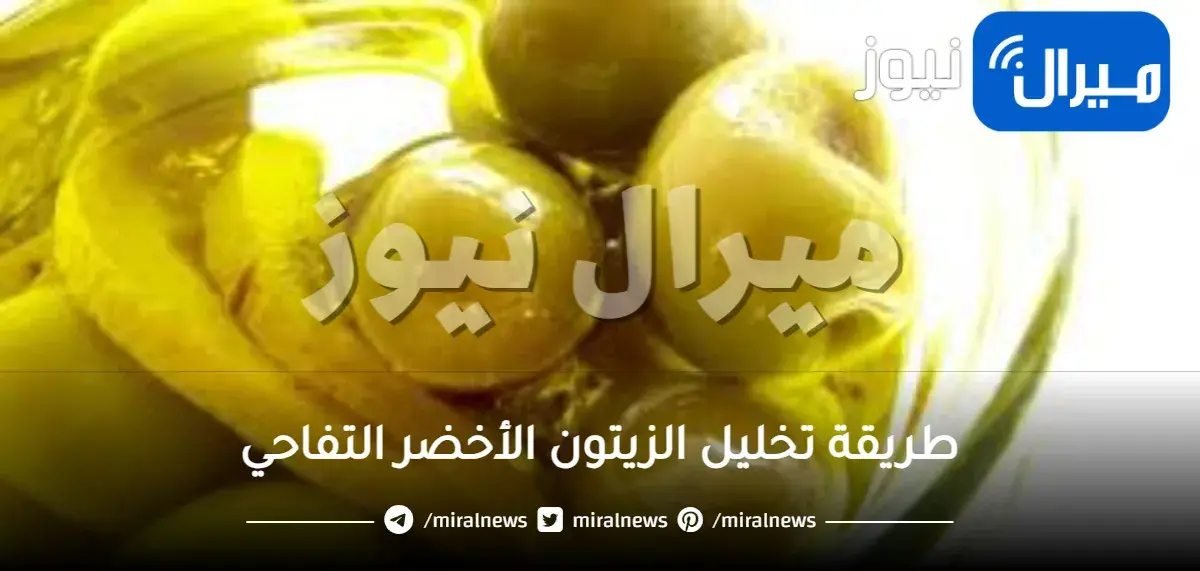 طريقة تخليل الزيتون الأخضر التفاحي