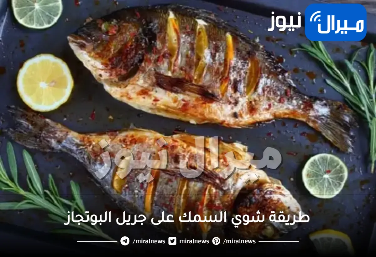 طريقة شوي السمك على جريل البوتجاز