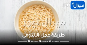 طريقة عمل الاندومى.. افصل 4 وصفات