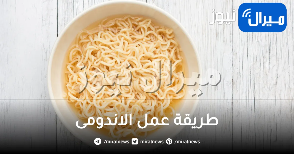 طريقة عمل الاندومى.. افصل 4 وصفات