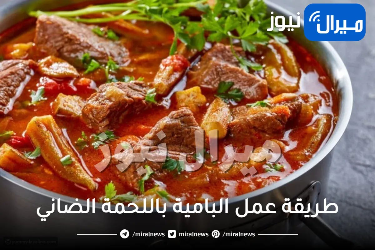 طريقة عمل البامية باللحمة الضاني