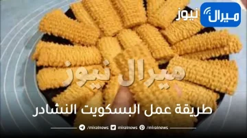 طريقة عمل البسكويت النشادر على قد الايد