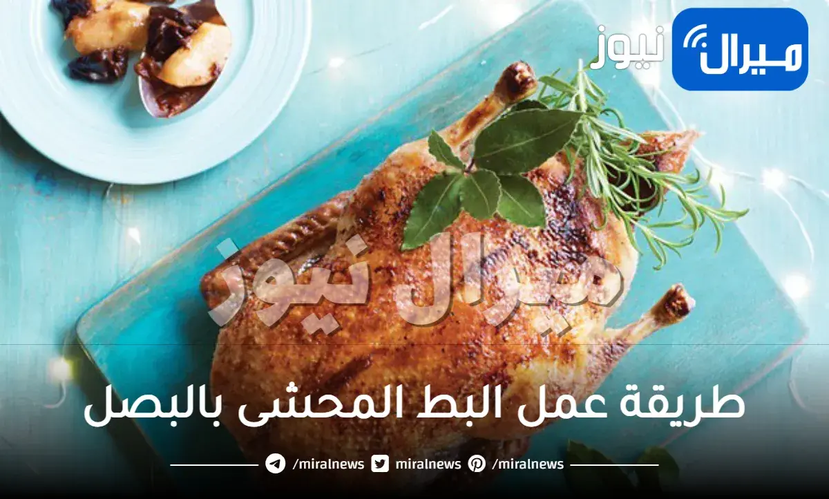 طريقة عمل البط المحشى بالبصل للشيف الشربيني لوجبة شهية