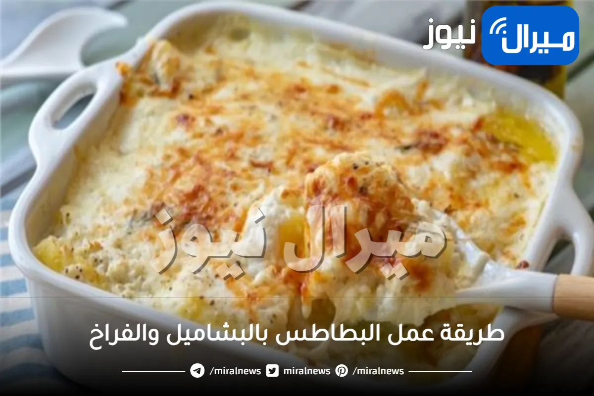 طريقة عمل البطاطس بالبشاميل والفراخ