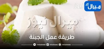 7 خطوات بسيطة لعمل الجبنة