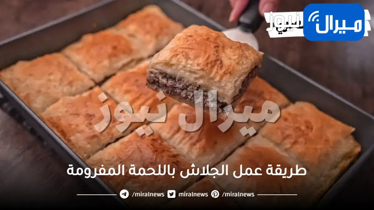 طريقة عمل الجلاش باللحمة المفرومة