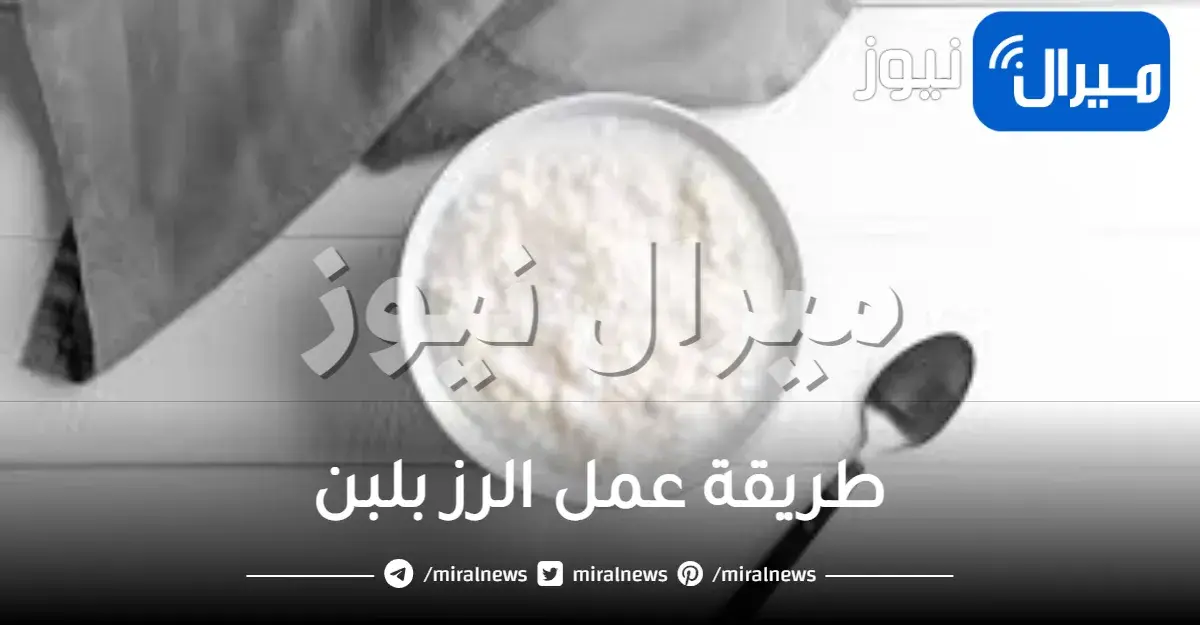 طريقة عمل الرز بلبن