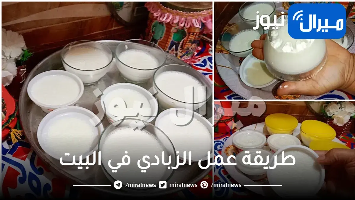 طريقة عمل الزبادي في البيت