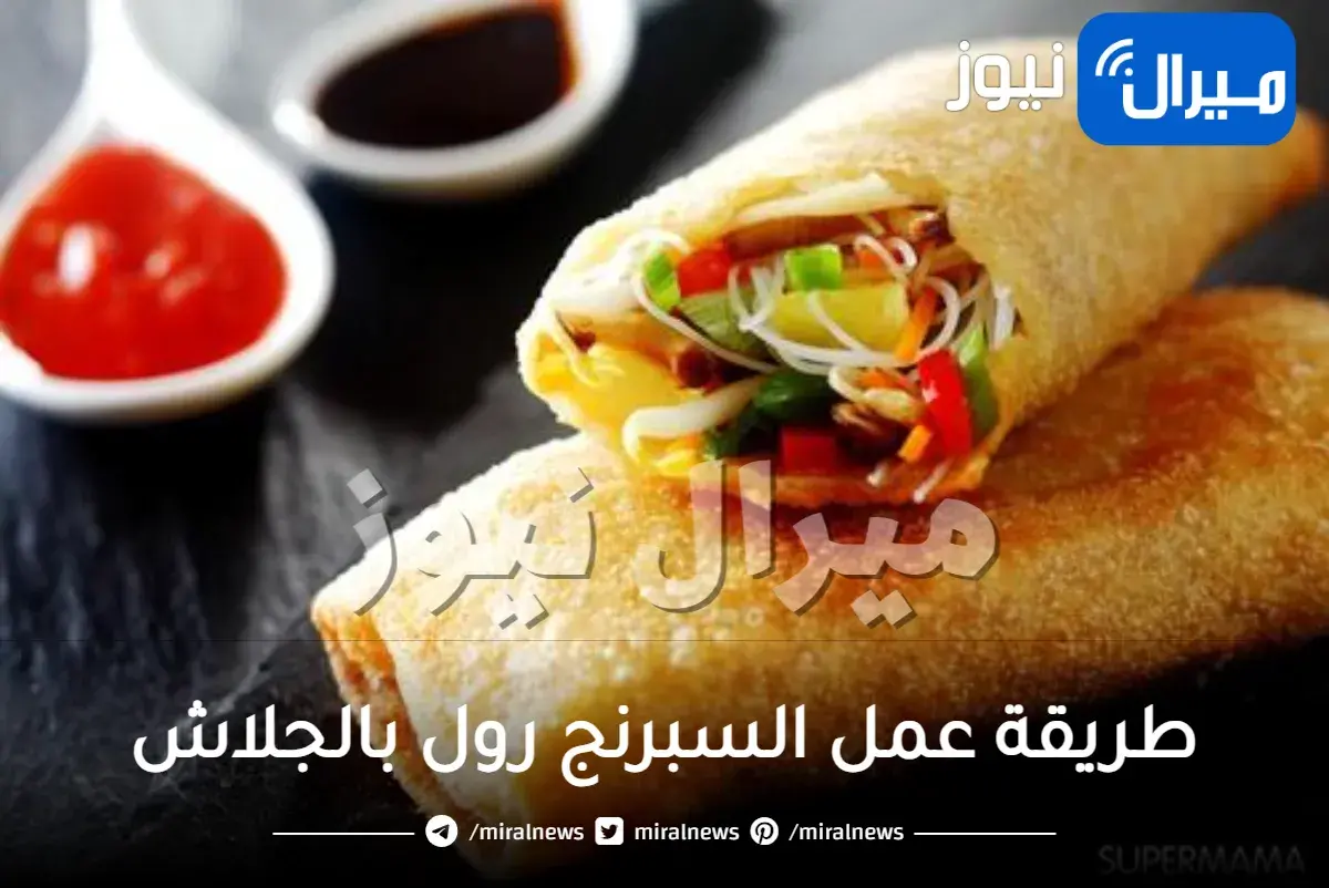 طريقة عمل السبرنج رول بالجلاش