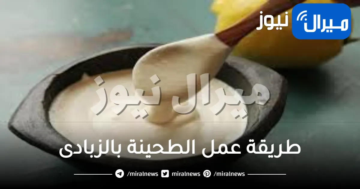 طريقة عمل الطحينة بالزبادى
