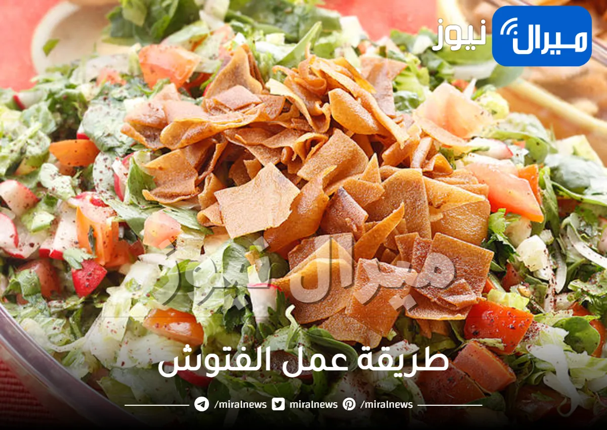 طريقة عمل الفتوش