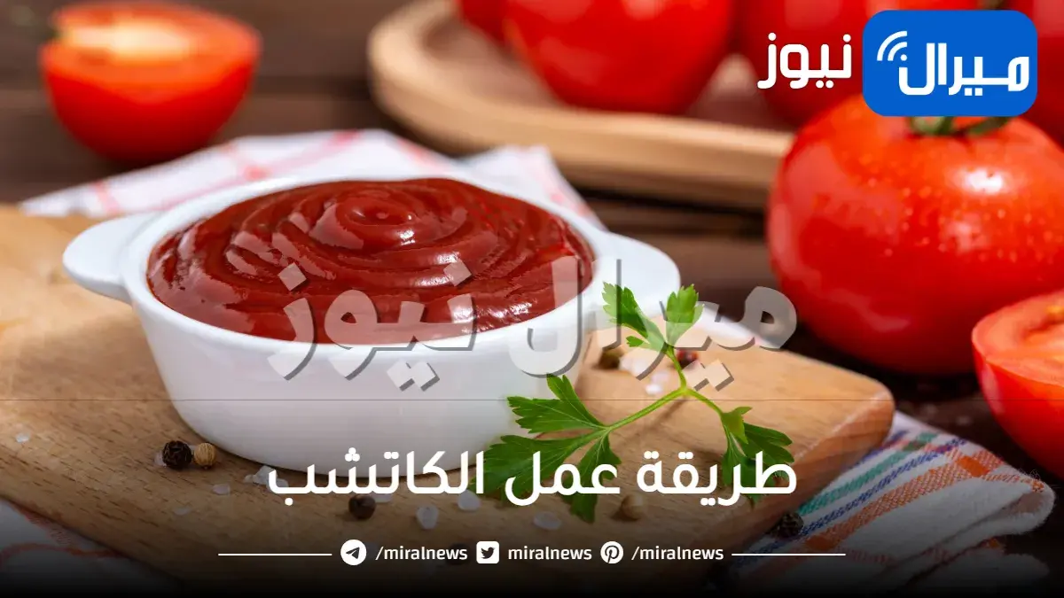طريقة عمل الكاتشب مثل المطاعم والمحلات لوجبات لذيذة في مطبخك