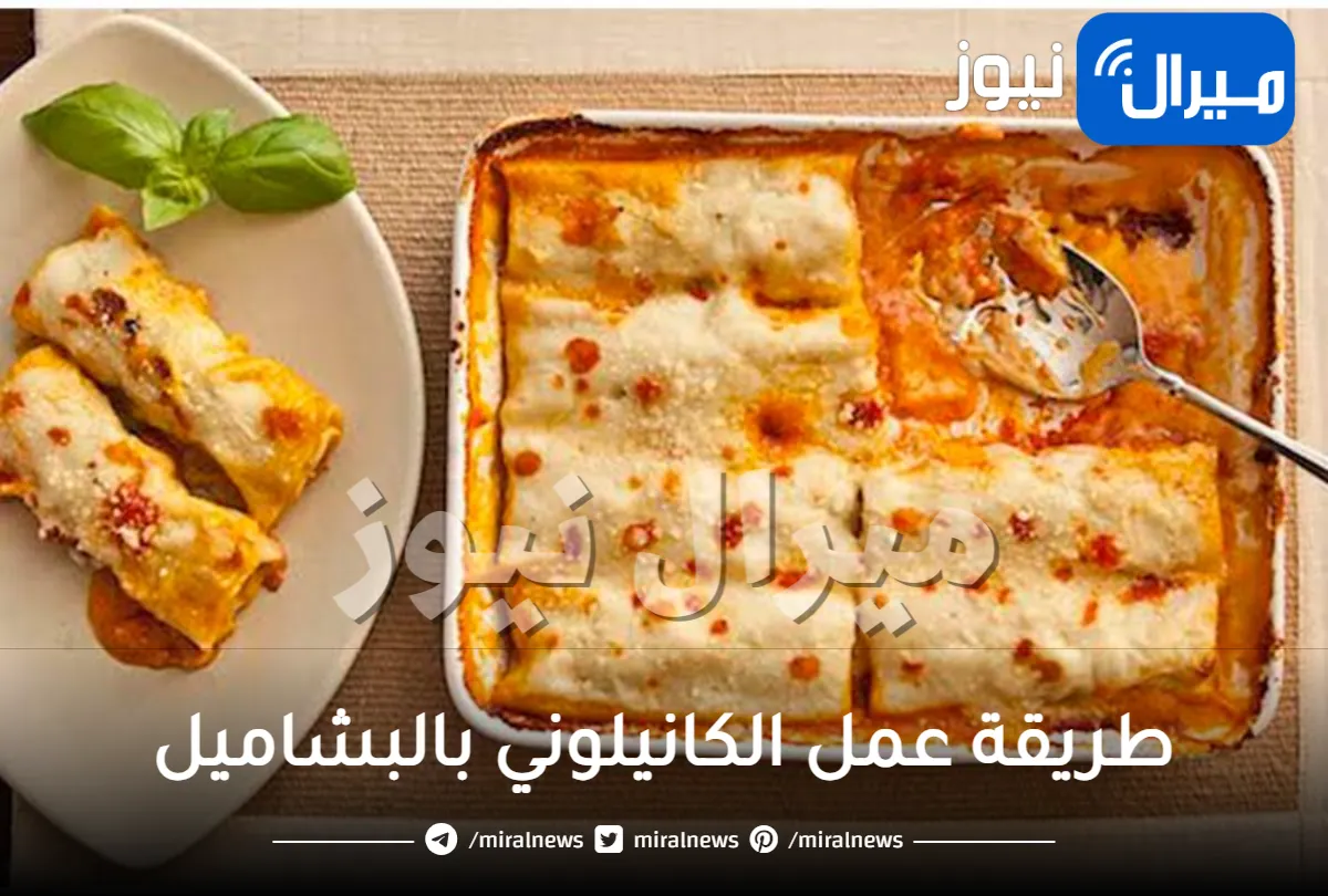 طريقة عمل الكانيلوني بالبشاميل للشيف حسن بأسهل الخطوات