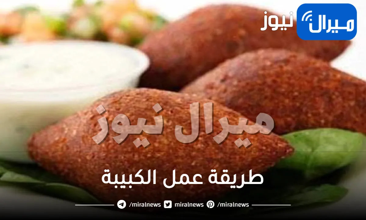 طريقة عمل الكبيبة علي الطريقة الشامية والمصرية باللحمة والفراخ والسمك