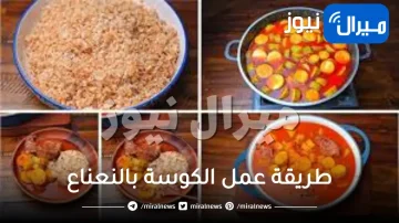 طريقة عمل الكوسة المطبوخة بالنعناع