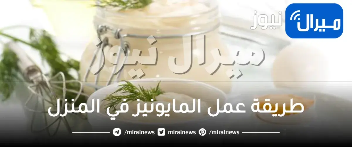 طريقة عمل المايونيز في المنزل