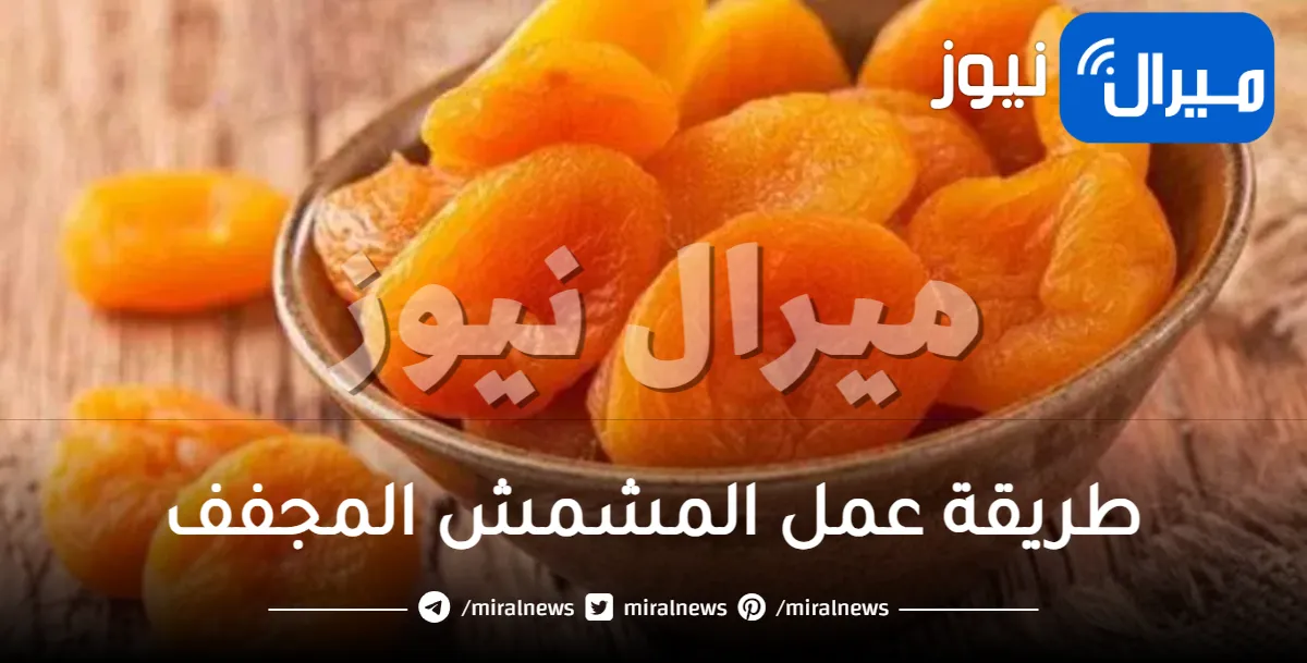 طريقة عمل المشمش المجفف في المنزل