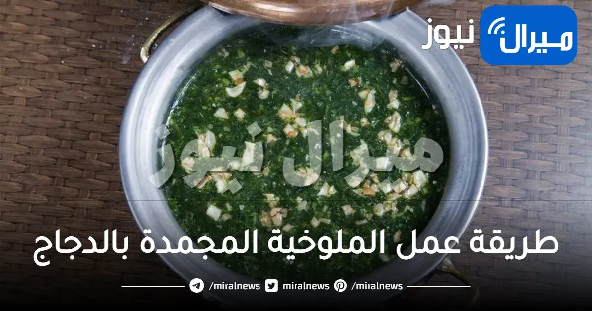 طريقة عمل الملوخية المجمدة بالدجاج