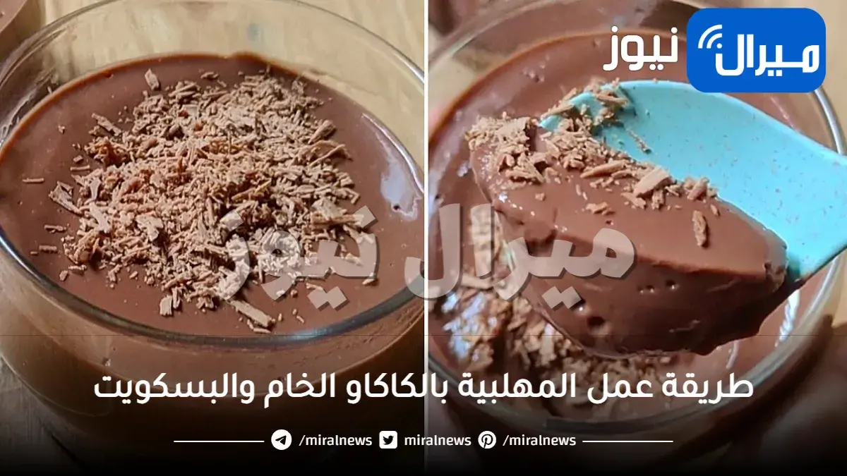 طريقة عمل المهلبية بالكاكاو الخام والبسكويت