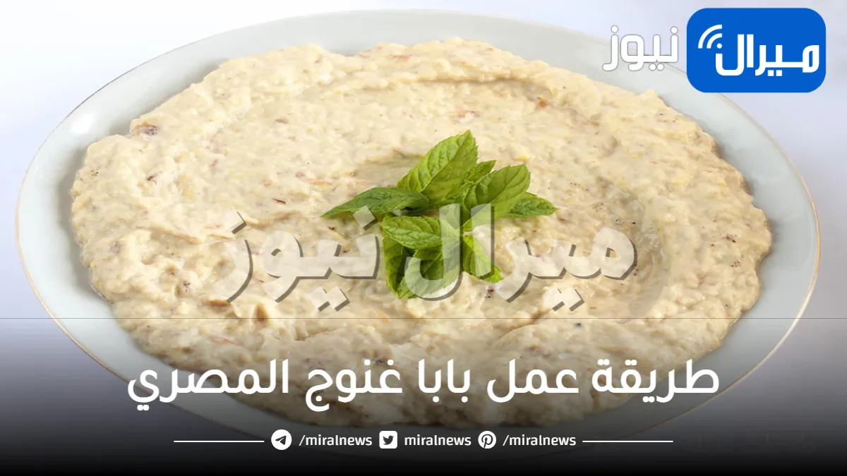 طريقة عمل بابا غنوج المصري