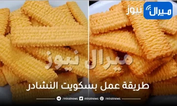 طريقة عمل بسكويت النشادر اقتصادي خطوة بخطوة