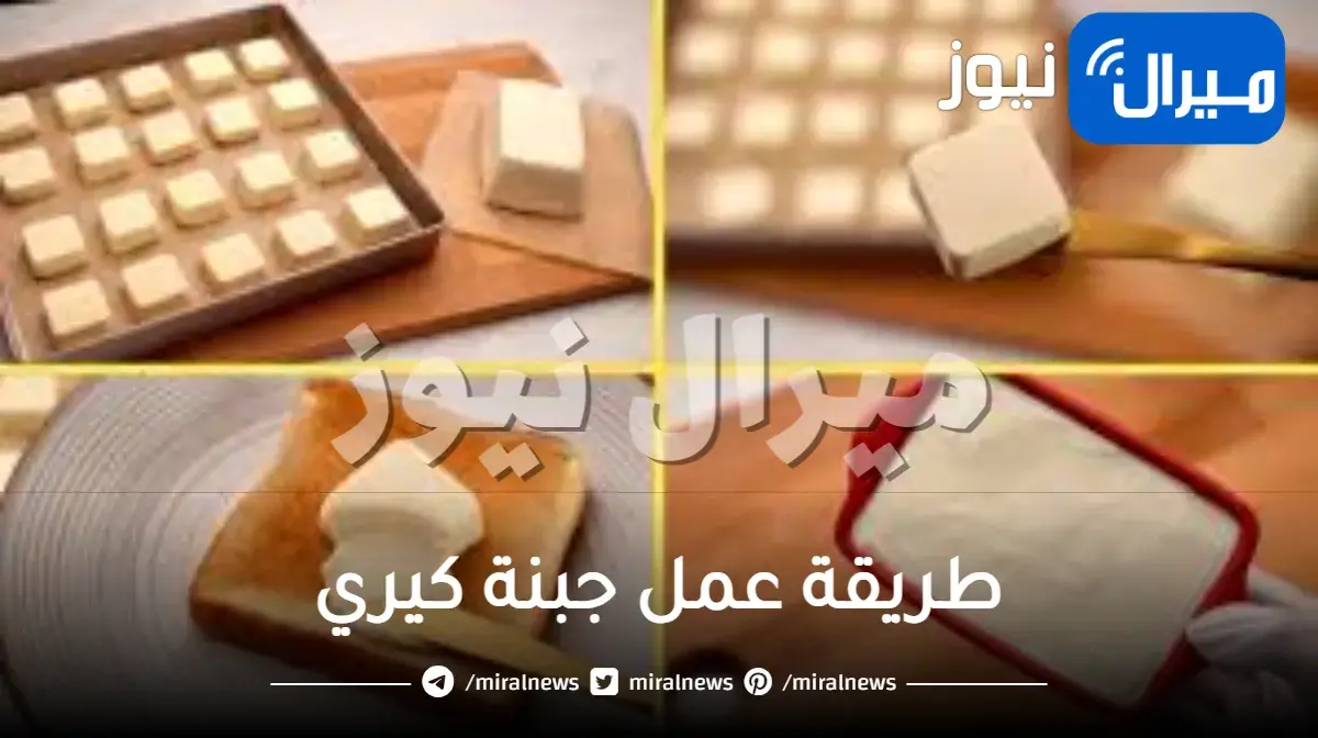طريقة عمل جبنة كيري في البيت