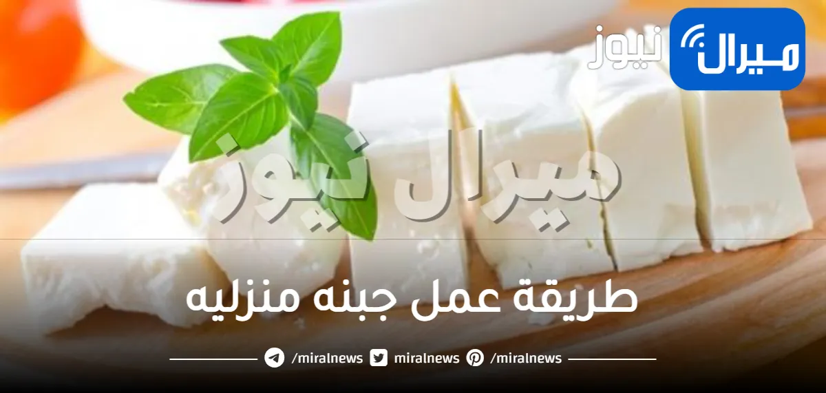 طريقة عمل جبنه منزليه