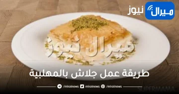 طريقة عمل جلاش بالمهلبية