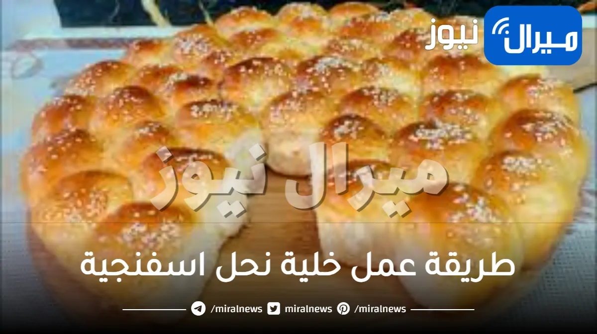 طريقة عمل خلية نحل اسفنجية