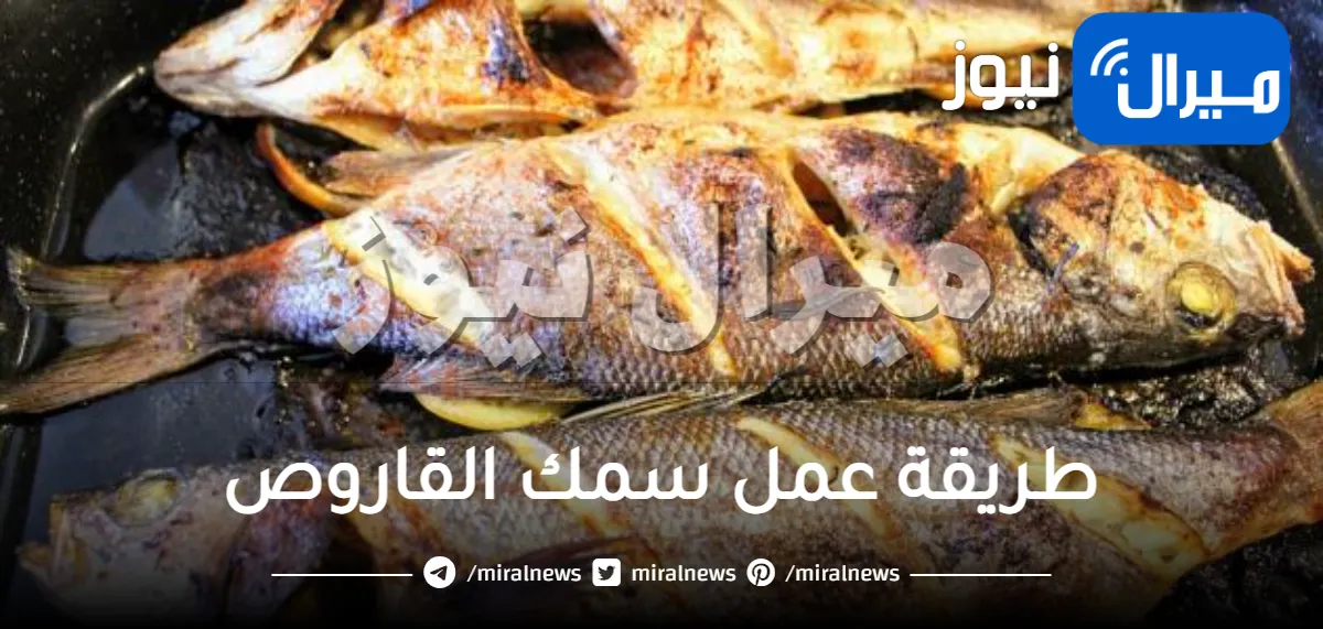 طريقة عمل سمك القاروص بأفضل الوصفات الشهية وتنظيفه باحتراف